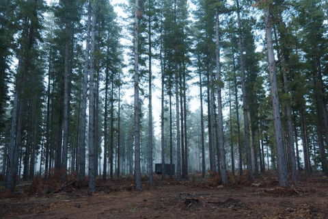 CABN Kuitpo Forest - Phillip Island Accommodation 2