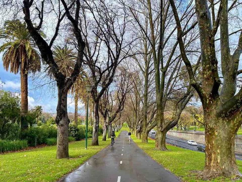 D124 Big Stay At Biggs - Phillip Island Accommodation 2