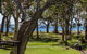 28 'Bay Parklands', 2 Gowrie Ave - Pool, Tennis + Stunning Views - thumb 0