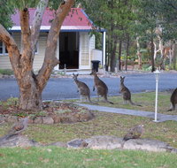 31 The Rocks - Phillip Island Accommodation