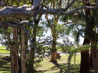 34 'Bay Parklands' 2 Gowrie Avenue - WIFI Views Pool Spa  Tennis Court