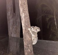 5 mins to Movie world  pet friendly - Phillip Island Accommodation