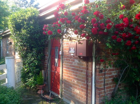 A Country Barn Retreat - Phillip Island Accommodation 2