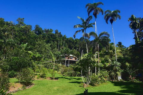 A Daintree Garden - Phillip Island Accommodation 0