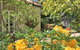Adelaide Hills 'Camellia Cottage' - WiFi - thumb 1