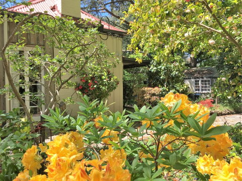 Adelaide Hills 'Camellia Cottage' - WiFi - Phillip Island Accommodation 1
