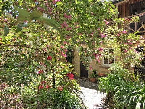 Adelaide Hills 'Camellia Cottage' - WiFi - Phillip Island Accommodation 2