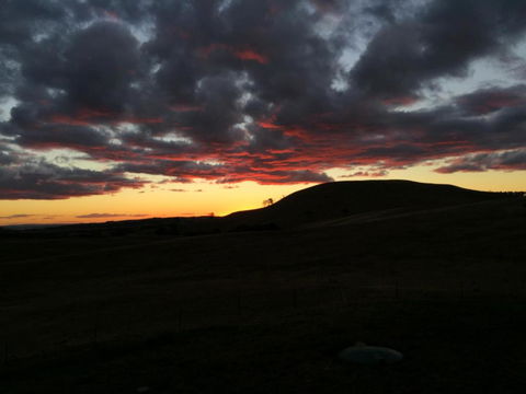 GOULBURN ALPACA FARM STAY - Phillip Island Accommodation 2