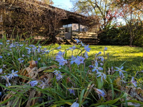 Alexander Cottage - Phillip Island Accommodation 3