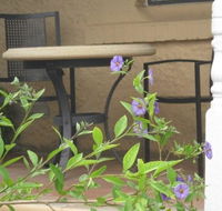 Amalie Cottage Waikerie - Phillip Island Accommodation