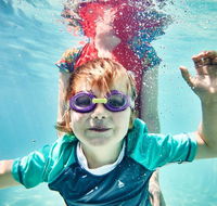 Anglesea Family Caravan Park - Phillip Island Accommodation