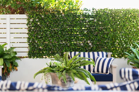 Arabella - Stylish Seaside Sanctuary With Views - Phillip Island Accommodation 2