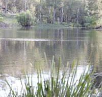 Arcadian Cabin - Southern Highlands River Retreat