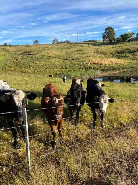Modern Farmhouse - Phillip Island Accommodation 3