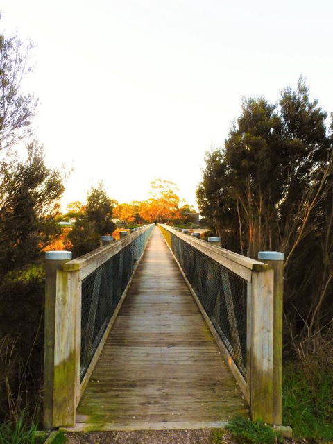 Moomba Holiday And Caravan Park - Phillip Island Accommodation 3