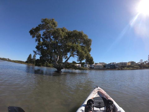 Moreton Bay Beach Lodge - Phillip Island Accommodation 1