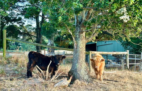 Private, Secluded Farm Retreat - Phillip Island Accommodation 3