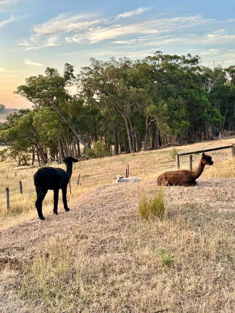 Private, Secluded Farm Retreat - Phillip Island Accommodation 2