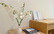 Queens Place 1B/View/Workplace/Swimming Pool/Gym - thumb 2