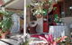 Quirky Cottage In Centre Of Maleny, Walk Everywhere - thumb 3
