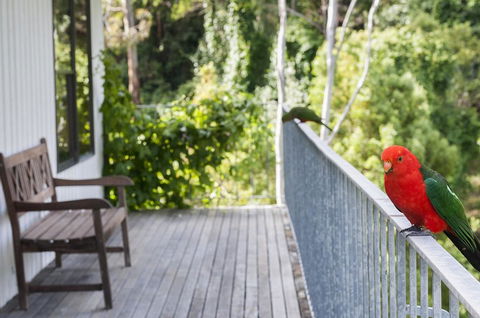 At Riverside - Phillip Island Accommodation 3