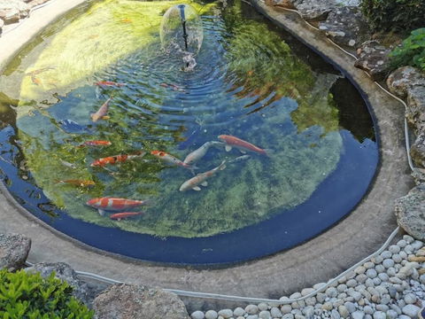 Attached Self Service Waterfront Whole Villa - Sydney - Phillip Island Accommodation 2