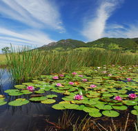 Barrington Hideaway- River Cottages