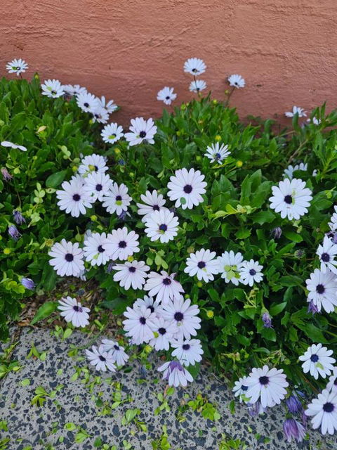 Reverie - Phillip Island Accommodation 2