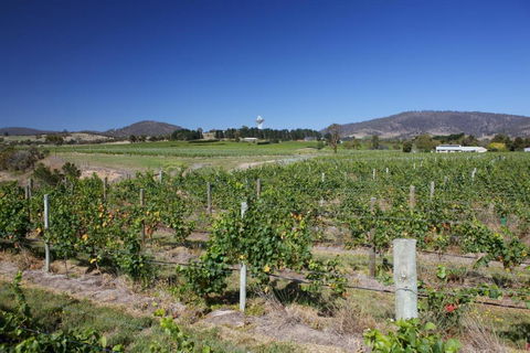 Riversdale Estate Cottages - Phillip Island Accommodation 1