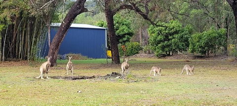 Roo Or 2 On Streeter - Phillip Island Accommodation 0
