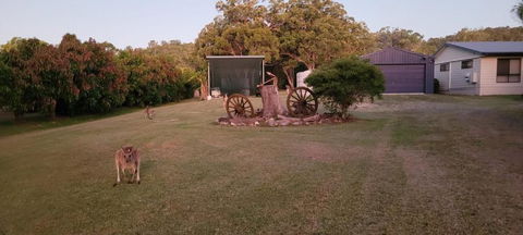 Roo Or 2 On Streeter - Phillip Island Accommodation 1