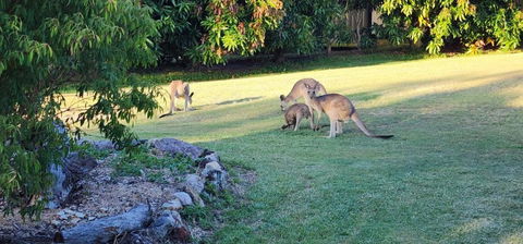 Roo Or 2 On Streeter - Phillip Island Accommodation 3