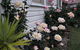 Roomy Rosegarden Flat In Roselands - thumb 3