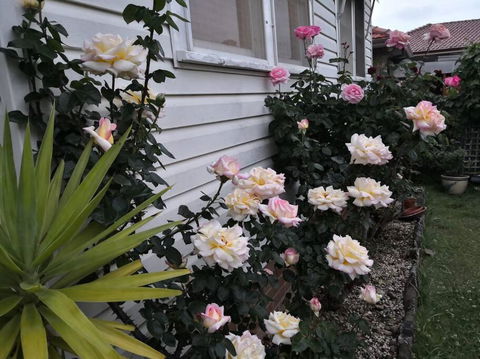 Roomy Rosegarden Flat In Roselands - Phillip Island Accommodation 3