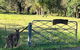 Rural Self Contained 3 Bedroom Cottage On Acreage, - thumb 2