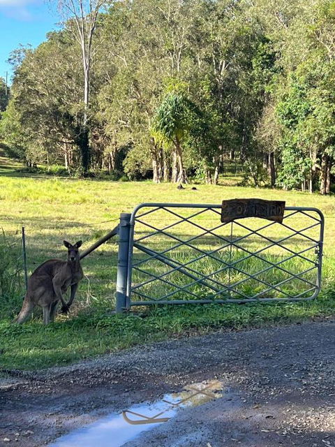 Rural Self Contained 3 Bedroom Cottage On Acreage, - Phillip Island Accommodation 2