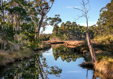 Saintys Creek Cottage - Phillip Island Accommodation 3