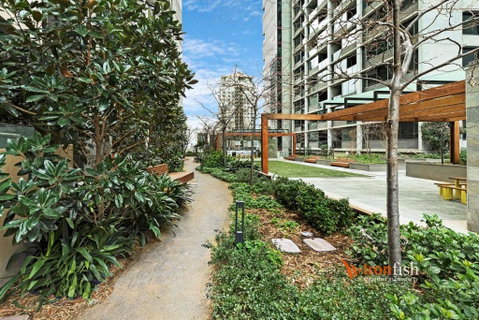 Sakura Apartment - Phillip Island Accommodation 3