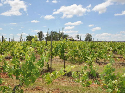 Beggars Bridge Vineyard Homestead W/ Pool + Wifi + Tennis + Vineyard - Phillip Island Accommodation 2
