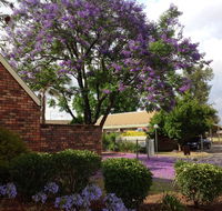 Belvoir Village Motel  Apartments Wodonga - Phillip Island Accommodation