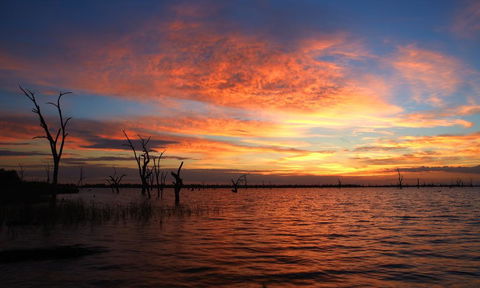 BIG4 NRMA Yarrawonga Mulwala Holiday Park - Phillip Island Accommodation 0