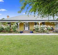 Blue Wren - Phillip Island Accommodation