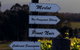 Blueberry Hill Vineyard Villa - thumb 3