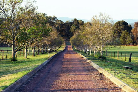 Blueberry Hill Vineyard Villa - Phillip Island Accommodation 0