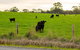 The Old Farm Cottage, Mount Torrens - thumb 2