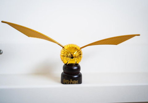Welcome Muggles To The World Of Wizardry - Phillip Island Accommodation 3