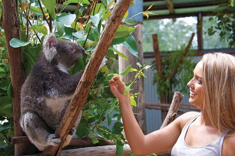 Private Guided Tour: Blue Mountains Tour From Sydney - Phillip Island Accommodation 5