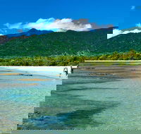 5-Day Best of Cairns with Daintree Kuranda and Great Barrier Reef