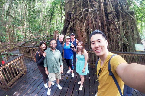 Cairns 4WD Waterfall And Rainforest Tour Including Kuranda Scenic Railway - Phillip Island Accommodation 0