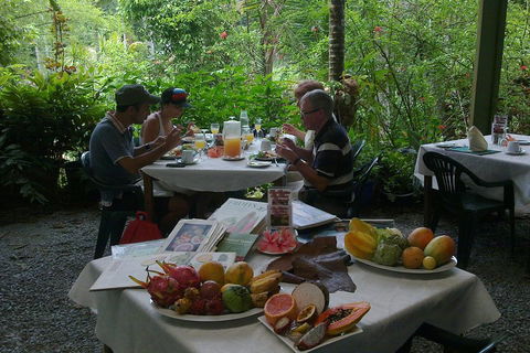 Cairns Reef And Rainforest Combo: Daintree Rainforest And The Great Barrier Reef - Phillip Island Accommodation 3